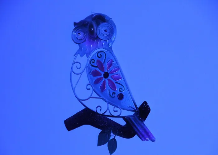 Oasi לינה וארוחת בוקר 3*